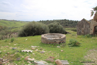 ammena-26-02-2023 13-45-00